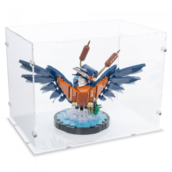 10331 Eisvogel - Acryl Vitrine