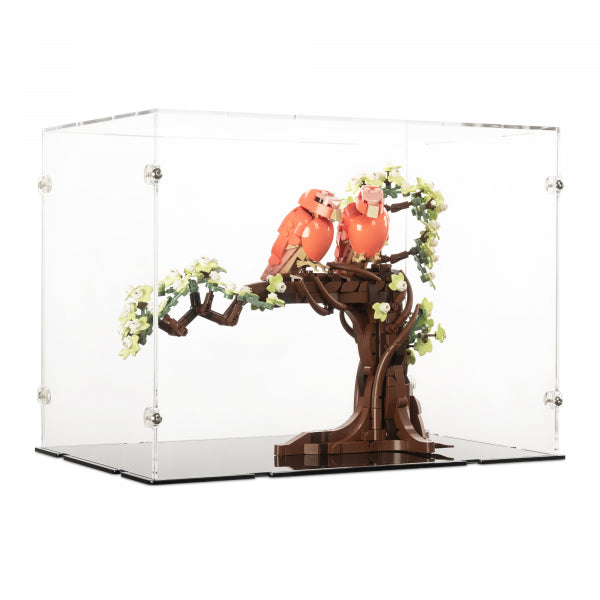 21365 Turteltauben - Acryl Vitrine
