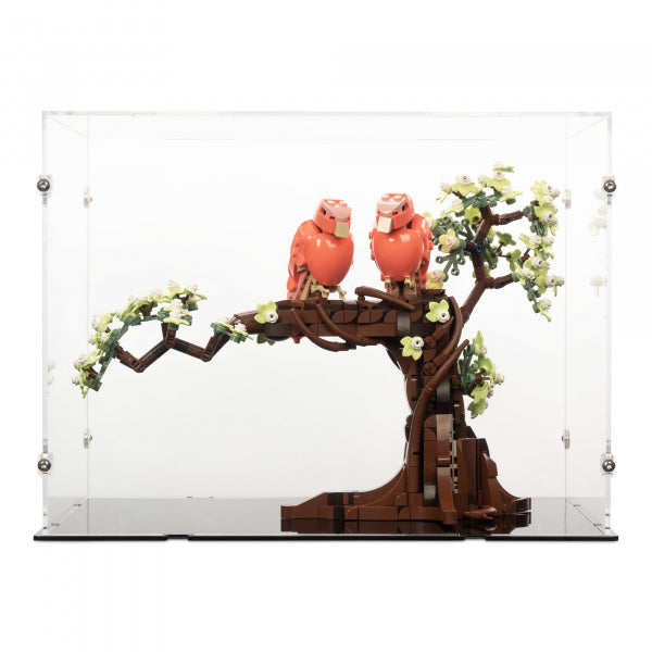 21365 Turteltauben - Acryl Vitrine