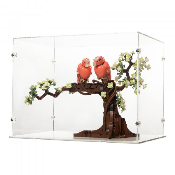 21365 Turteltauben - Acryl Vitrine