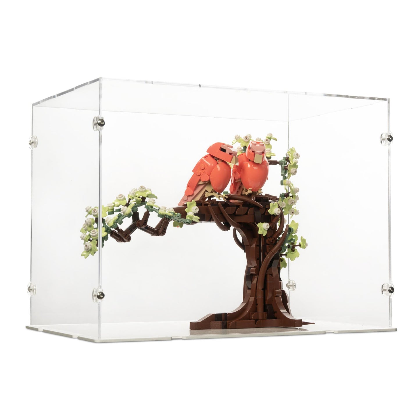 21365 Turteltauben - Acryl Vitrine
