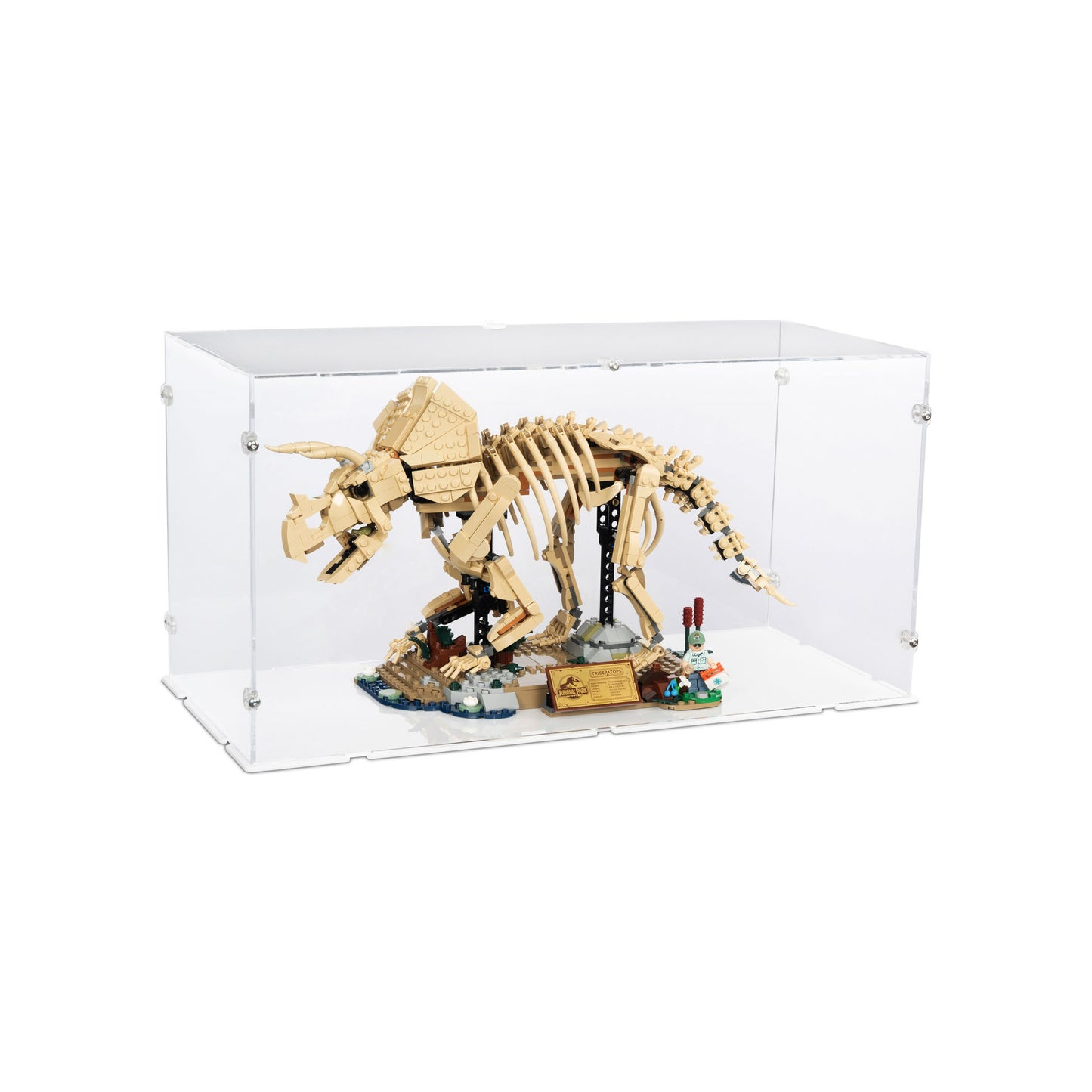 77985 Dinosaurier-Fossilien: Triceratops - Acryl Vitrine Lego
