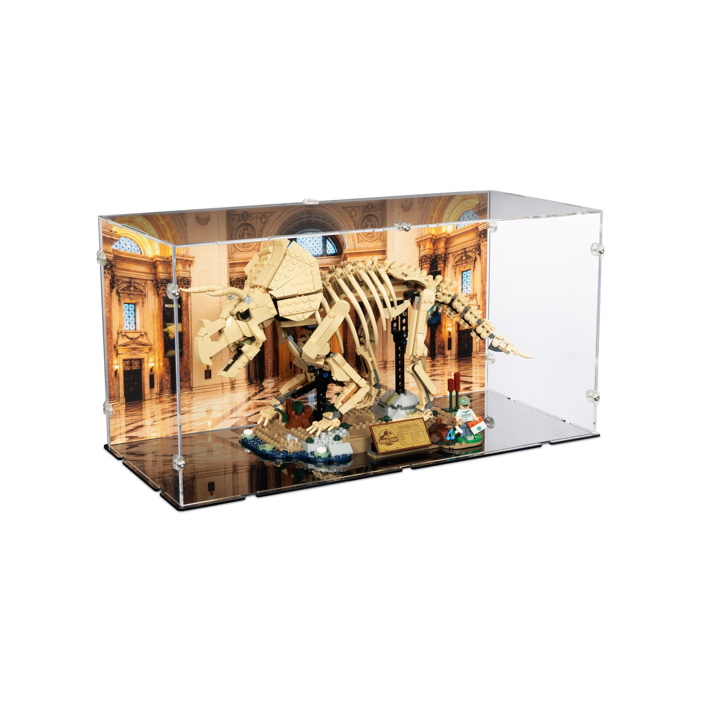 77985 Dinosaurier-Fossilien: Triceratops - Acryl Vitrine Lego