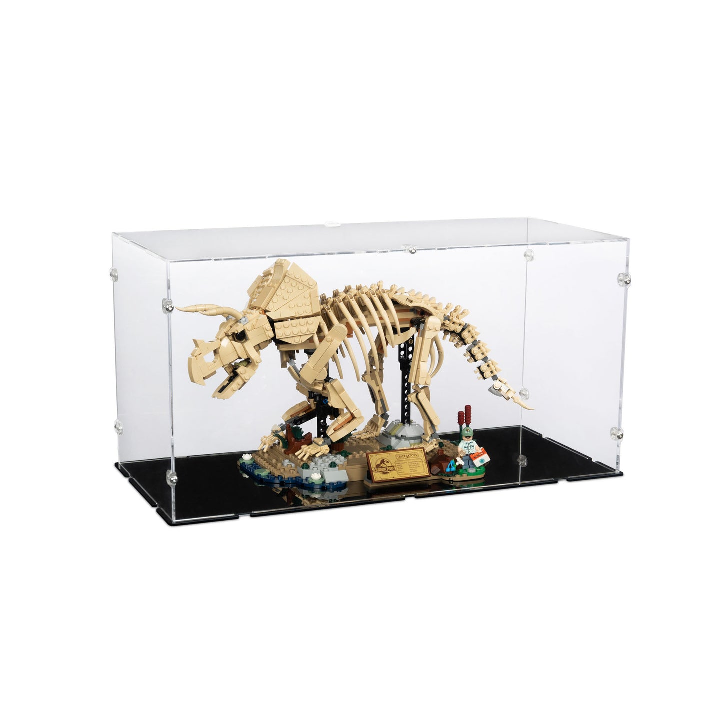 77985 Dinosaurier-Fossilien: Triceratops - Acryl Vitrine Lego
