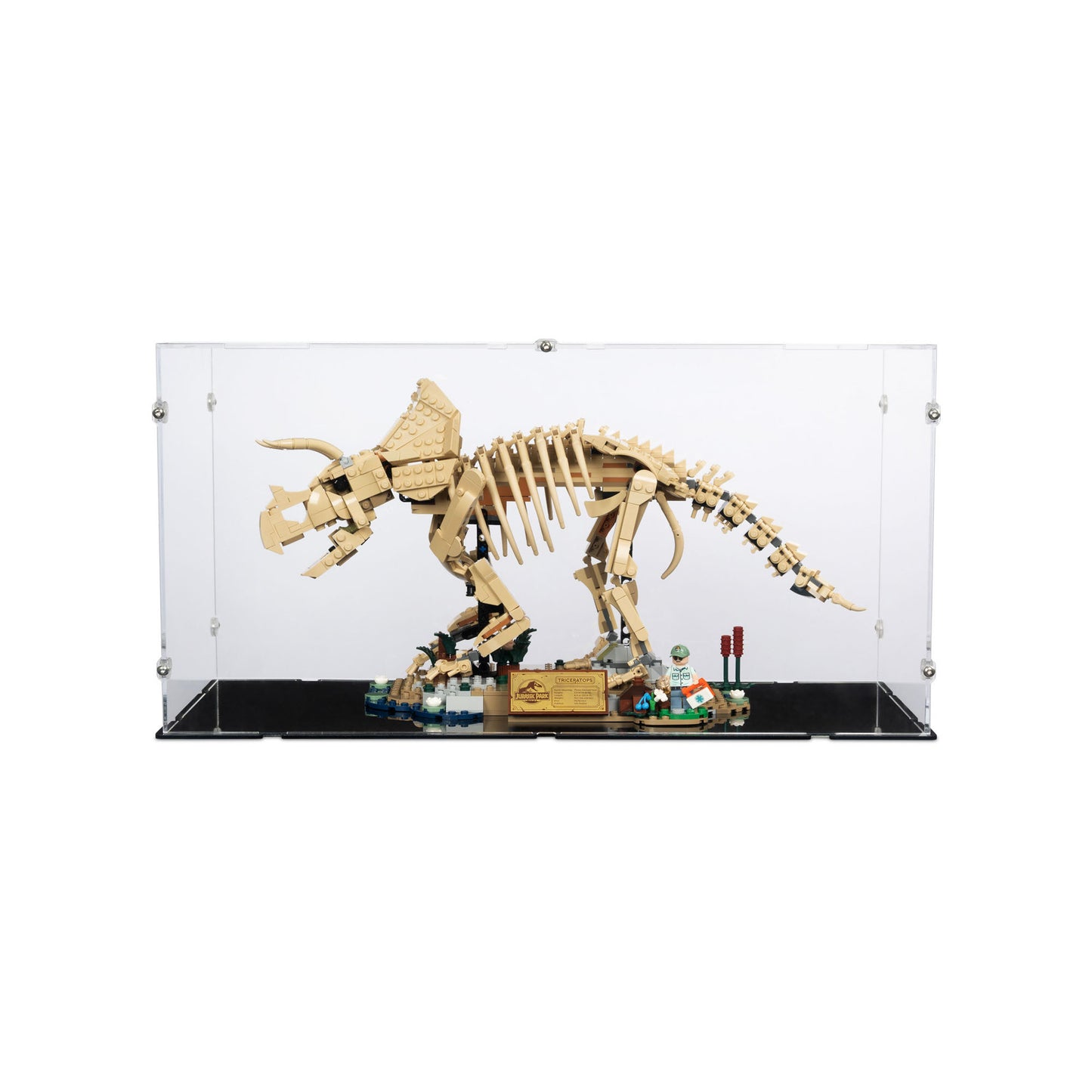 77985 Dinosaurier-Fossilien: Triceratops - Acryl Vitrine Lego